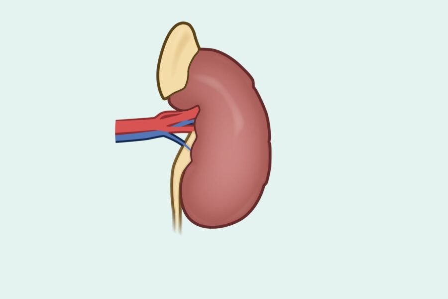 Blood in Urine: When Should You Be Concerned?